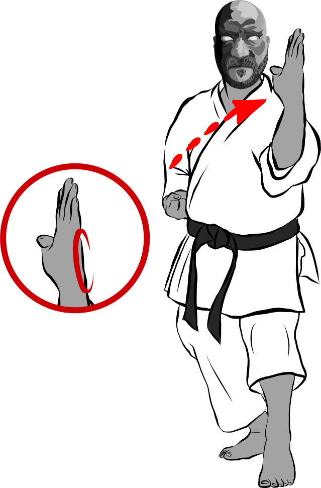 Hai-shu uke (Backhand block)